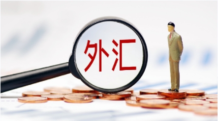  KVB 返利省手续费的真实经历，新手也能轻松 get